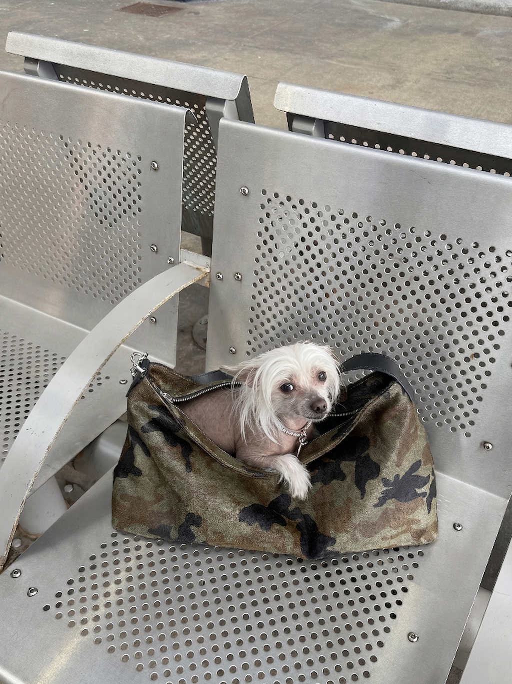 PONY HAIR SHOPLIFTER - CAMO