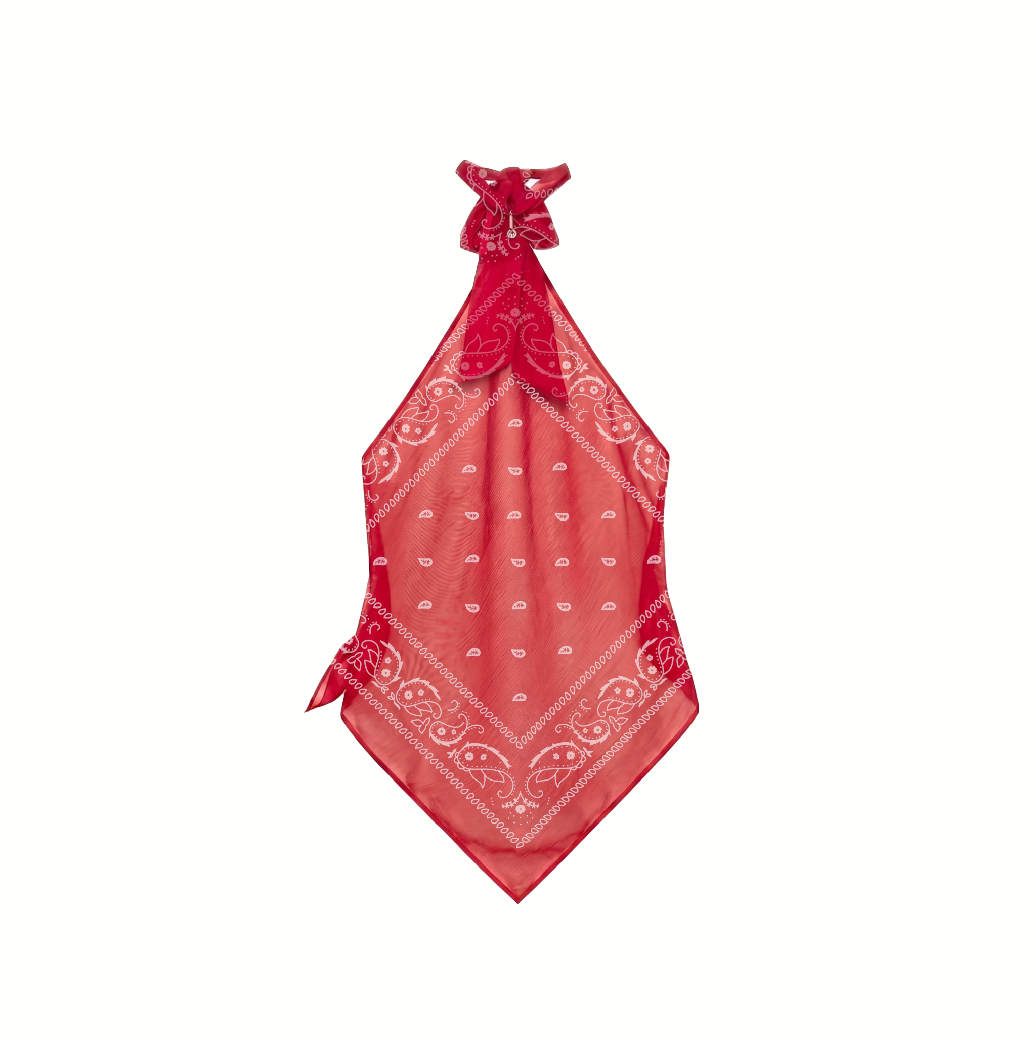 PAISLEY HALTER