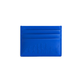 EVOLUTION OF WOMAN CARDHOLDER BLUE